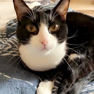 Meet your Posher, Chris